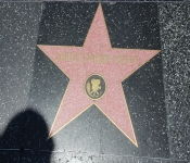 2014 LA CA WalkofFame 035